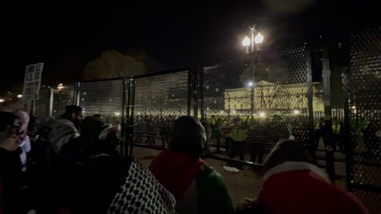 VIDEO: Pro-Palestine Protesters Try to Breach White House, Violently Shake Security Fence