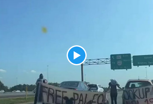 WATCH: Anti-Israel ‘Queers for Palestine’ Protesters Block Access to Disney World in Florida